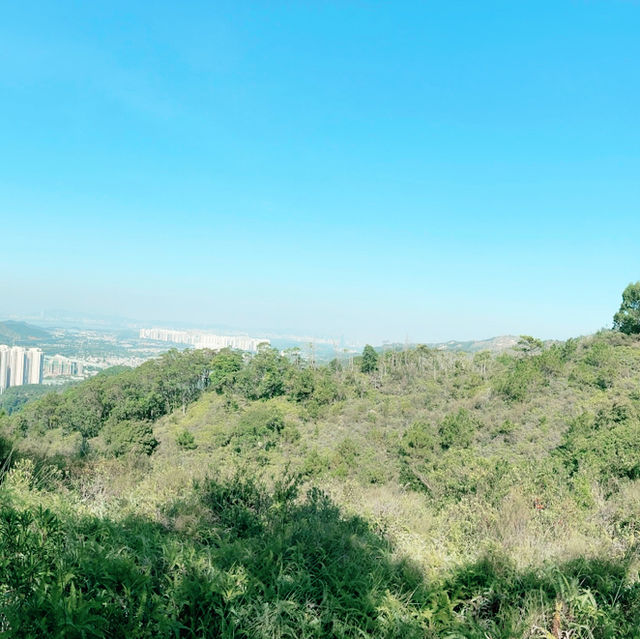 有益身心戶外活動～屯門徑行山打卡