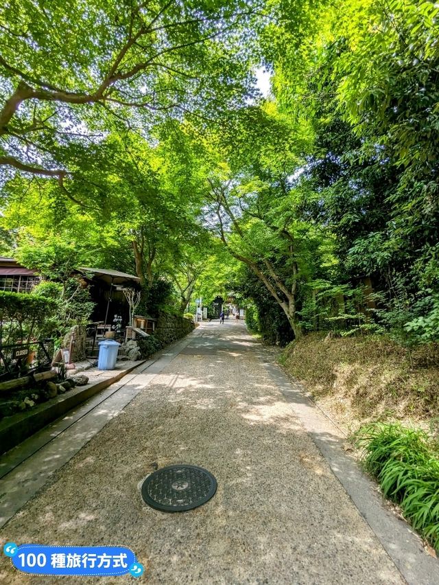 日本京都-參天竹林密境的嵐山之美