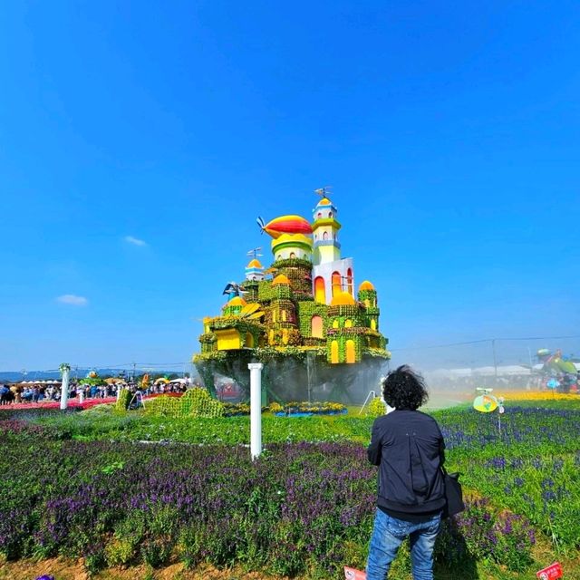 【臺中】花海節：主題不同，花卉的排列和設計也會隨之變化