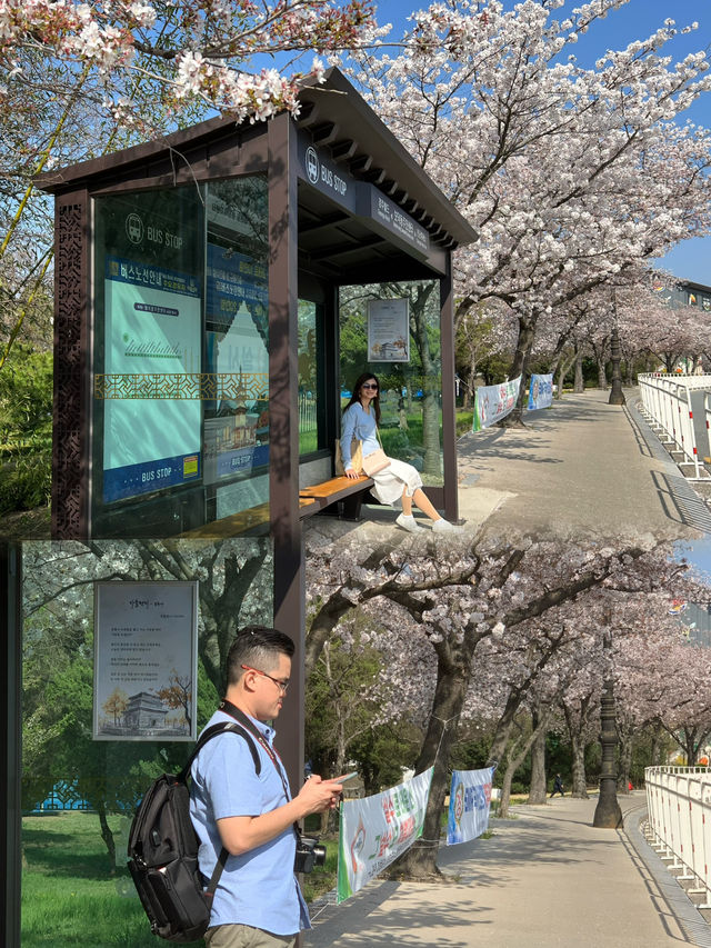 A Romantic Spring Escape: The Perfect Couple's Travel Experience in Gyeongju