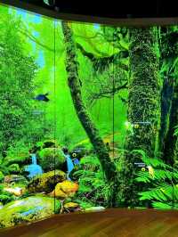 Bird Paradise Singapore Waterfalls