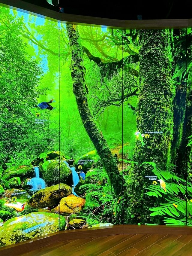 Bird Paradise Singapore Waterfalls