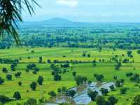 วัดป่าสิริวัฒนวิสุทธิ์ นครสวรรค์