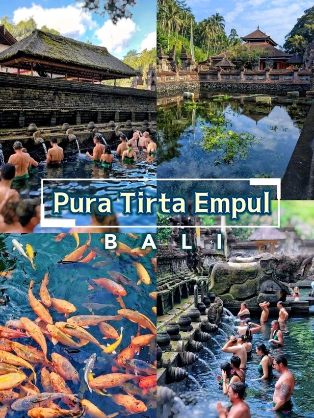 A Purification Rituals at Tirta Empul, absolutely a spiritually enlightening experience!