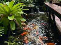 Oasis ใจกลางเมืองระยอง B‘forest Cafe Rayong 🍃