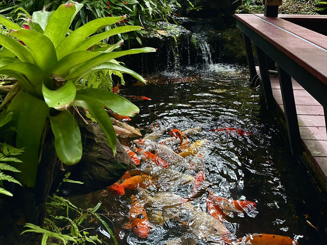 Oasis ใจกลางเมืองระยอง B‘forest Cafe Rayong 🍃