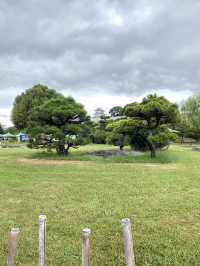 【明石】イベント開催中の明石公園
