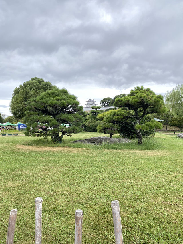 【明石】イベント開催中の明石公園