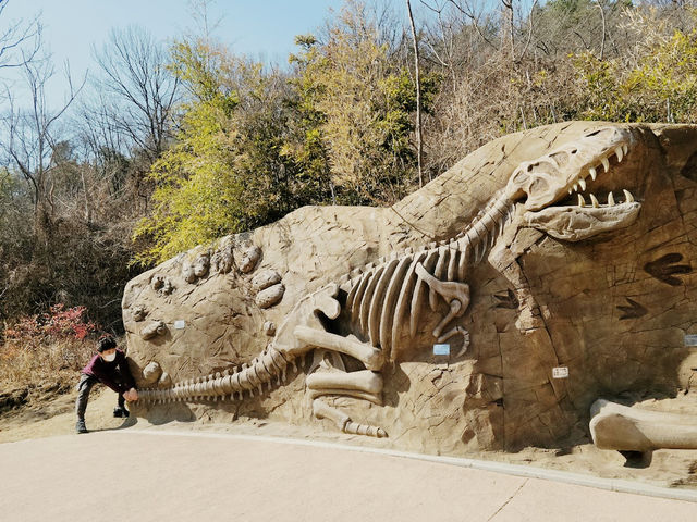 Gosangol Dinosaur Park 