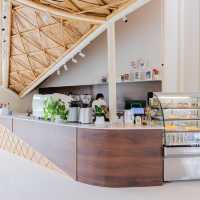 Bamboo Light