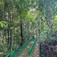 Trekking to the Top: Scenic Day at Mount Faber Park