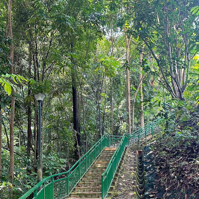 Trekking to the Top: Scenic Day at Mount Faber Park