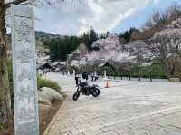 長瀞　宝登山神社