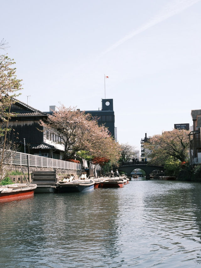 福岡｜柳川遊船特色體驗 🚣🚣
