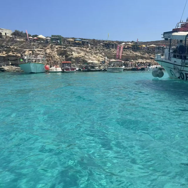 地中海の宝石💎