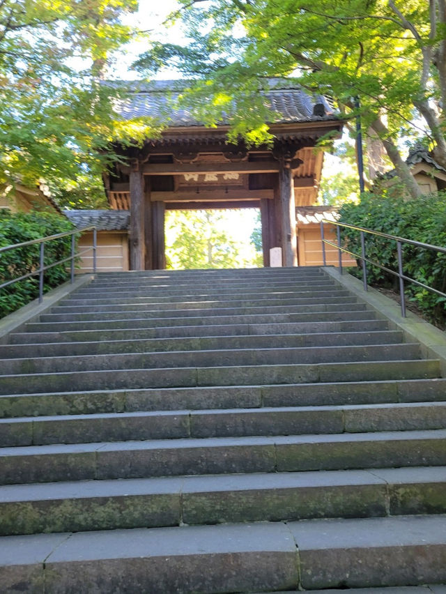 【紫陽花で知られる💐静かなお寺明月院🌕】