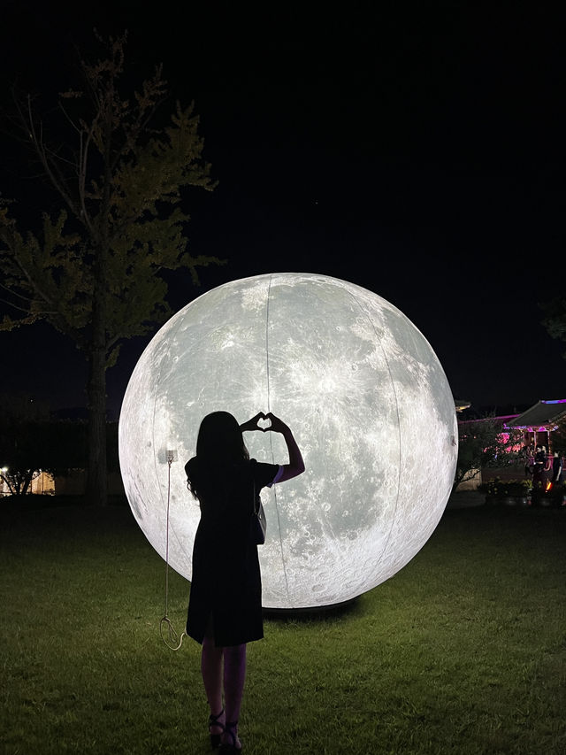 백제문화제 부여백제문화단지에서 즐기세요🎉