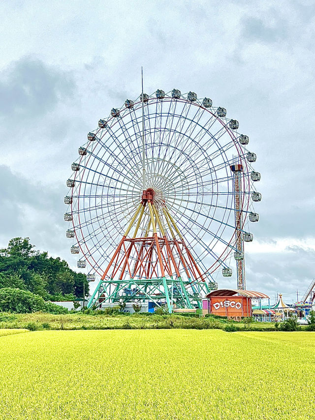 당진 가볼만한 곳 삽교호 놀이동산🎡