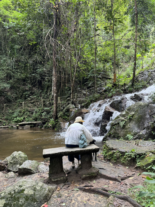 น้ำตกแม่กำปอง | จ.เชียงใหม่ 🪨💦🌿🌳