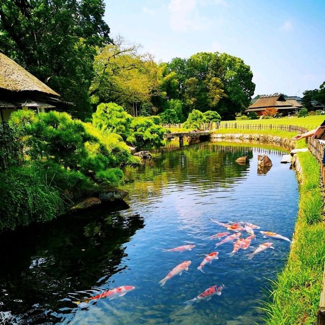 岡山後樂園
