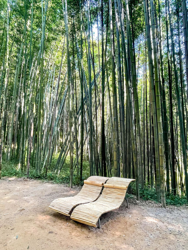싱그럽고 청량한, 산책하기 좋은 곳 ‘죽녹원’