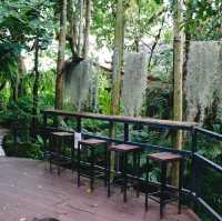 Pagoda Hill Cafe' and Resort