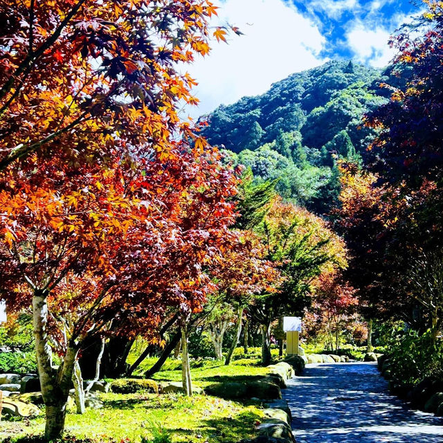 杉林溪森林遊樂區