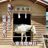 【山梨県】美しい白い毛並みの「旺輝」が可愛い