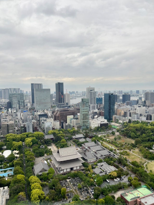 나만 알고싶은 🇯🇵도쿄하루여행코스🖍️예쁜 곳들만 딱 집어 알려드립니다🤲🏻🇯🇵