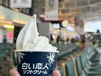 新千歲機場-北海道的主要航空樞紐，感受北海道魅力的最後一站