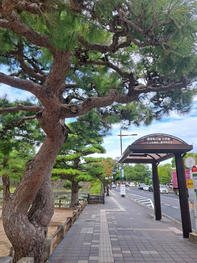 【島根旅】国宝のお城に登って松江の町並みを堪能しよう♪