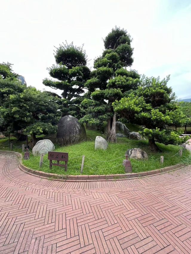 隱藏於香港鬧市的禪意之境：志蓮淨苑，一探港版小京都的絕美秘境