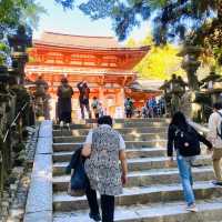 奈良°ㅣ原始森林中的千年神社ㅣ被鹿包圍的春日大社