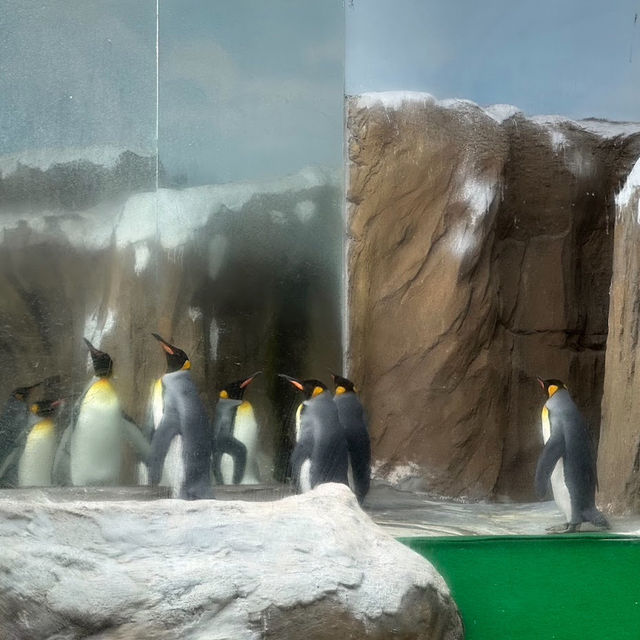 台灣最大的動物園 — 臺北市立動物園🐾