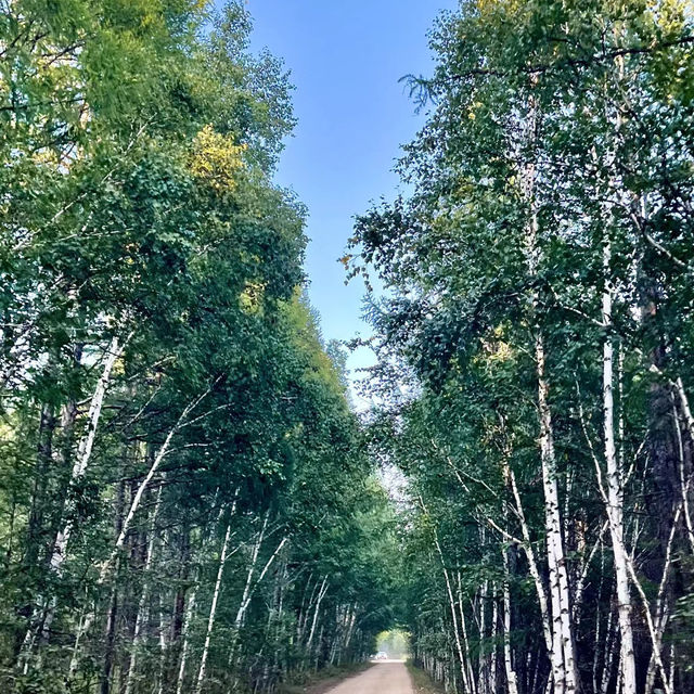 🪷玉原濕原🌺寧靜綠野🌿🌅