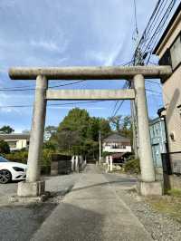 【埼玉県】猫絵の殿様と長い参道