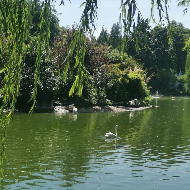 廣州動物園：親近動物🦁