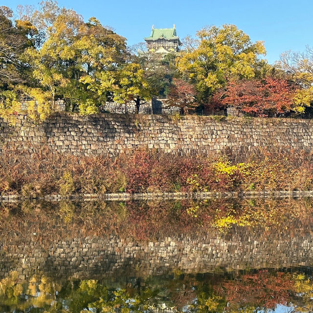 🍂銀杏黃葉輕輕落 🏯秋風吹拂大阪城 
