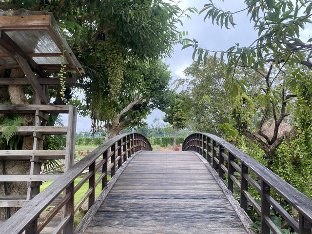 สวนดอกไม้สวย สวนลุงเวศน์