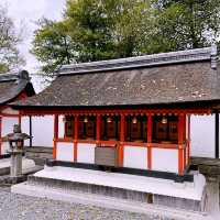 ⛩️超經典而壯觀的代表鳥居⛩️
