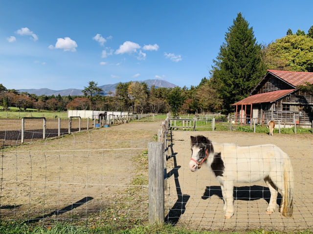 小岩井で乗馬体験！