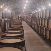 Dijon France. Famous for its vineyards and night bars 