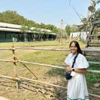 ดูบัวคาเฟ่ฟาร์ม ธรรมชาติที่เข้าถึงได้🌱😇