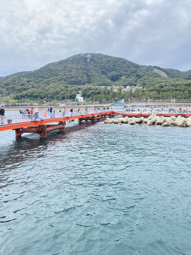 【兵庫県】須磨海づり公園！話題の最新スポット