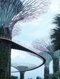 Gardens By The Bay แลนด์มาร์คที่ห้ามพลาดในสิงคโปร์