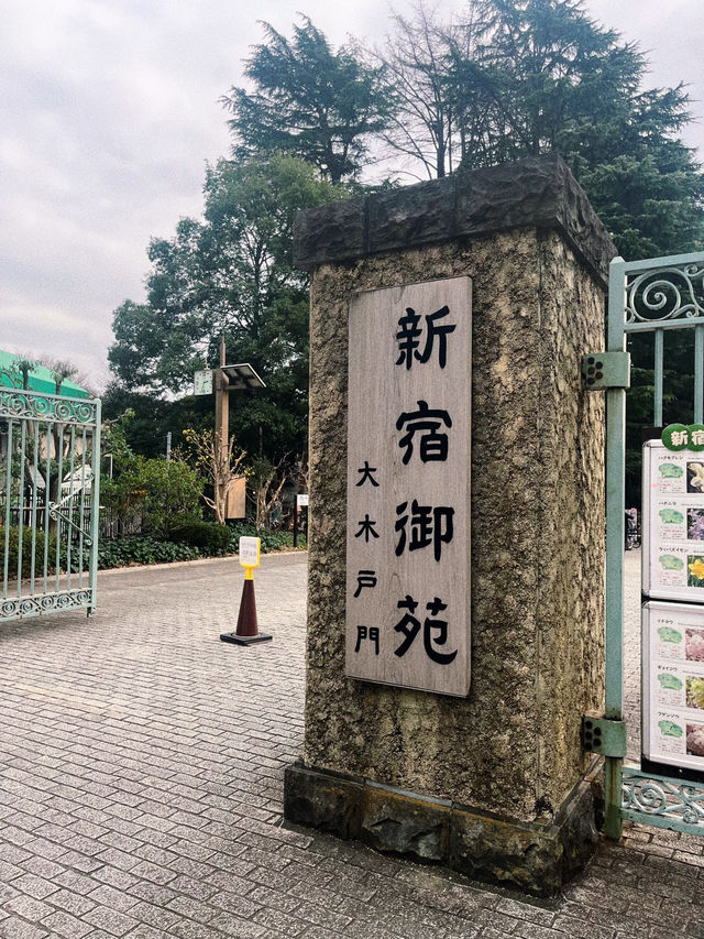 언어의 정원의 배경 신주쿠 교엔⛲️