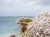 Paradise islands in Venezuela 