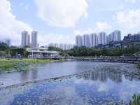 香港生態公園：米埔濕地