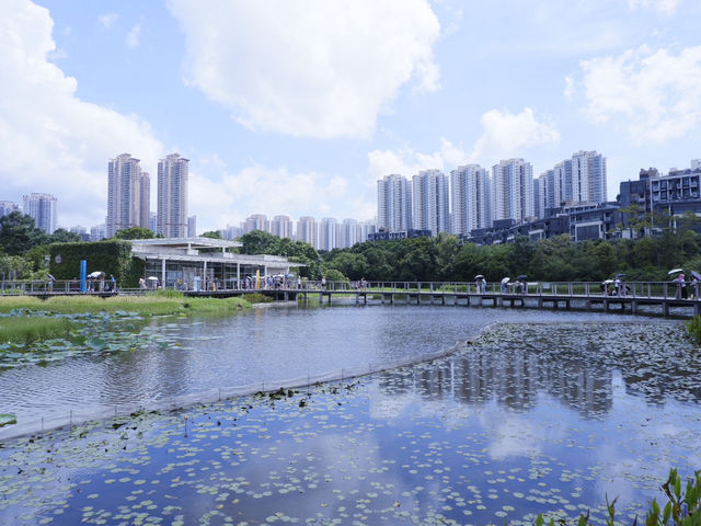 香港生態公園：米埔濕地