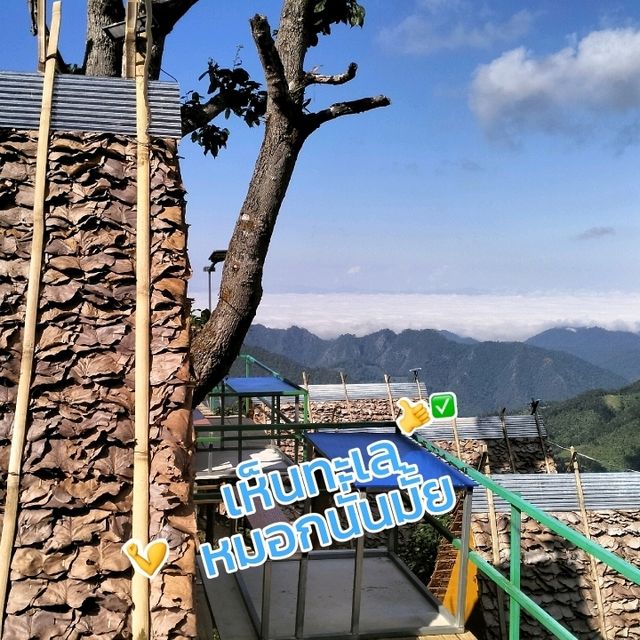 แนะนำที่พักใกล้ทุ่งบัวตอง